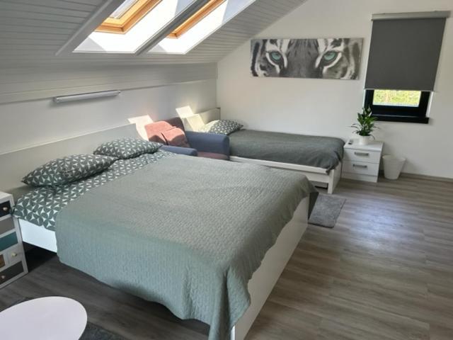 A&E Apartment Ljubljana Eksteriør bilde